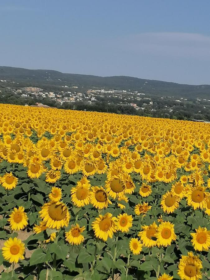 Charmante Maison Avec Terrasse Aux Portes De L'Ardeche 彭特·圣特斯普利特 外观 照片